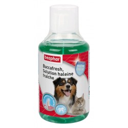 Solution haleine fraîche pour chien et chat