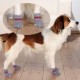 PATTES A STRASS PARIS - Chaussettes antidérapantes pour chien vue chien