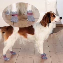 Chaussettes antidérapantes pour chien
