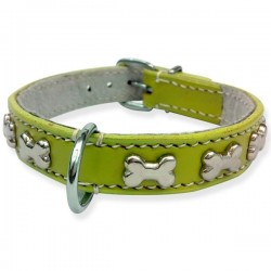 Collier pour chien en cuir vert anis