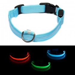 Collier LED pour chien – Sécurité et visibilité la nuit