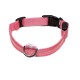 PATTES A STRASS - Collier LED pour chien – Sécurité et visibilité la nuit