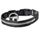 PATTES A STRASS - Collier LED pour chien – Sécurité et visibilité la nuit
