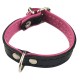 PATTES A STRASS - Collier pour chien "SMOOTH" en cuir doublé simili cuir