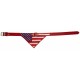 PATTES A STRASS - Collier pour chien bandana "USA" – style américain et confort garanti