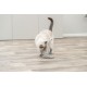 Jouet Wiggling Mouse pour chat