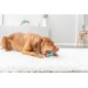 Denta Fun Ballon de rugby pour chien