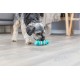 Denta Fun os pour chien