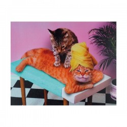 Tableau photo sur toile salon de massage