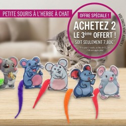 Petite Souris à l'herbe à chat