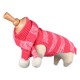 Pull Echarpe fantaisie pour chien