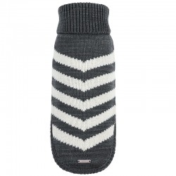 Pull Shein pour chien