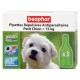 Pipettes petits chiens
